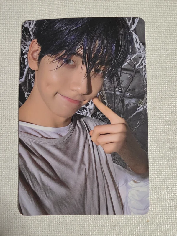 The Star Chapter: SANCTUARY SAVIOR Ver.