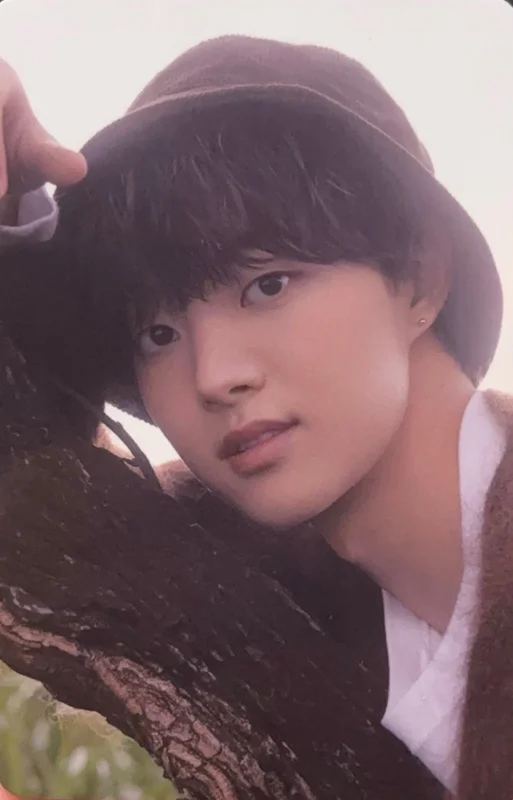 First Howling : ME PHOTOCARD MERCH - HOODIE