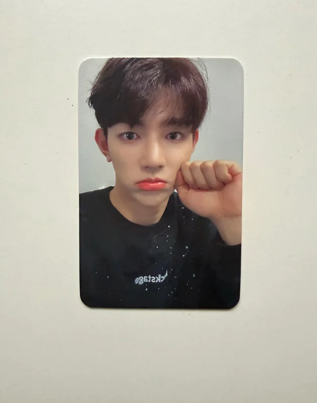 MELTING POINT APPLEMUSIC