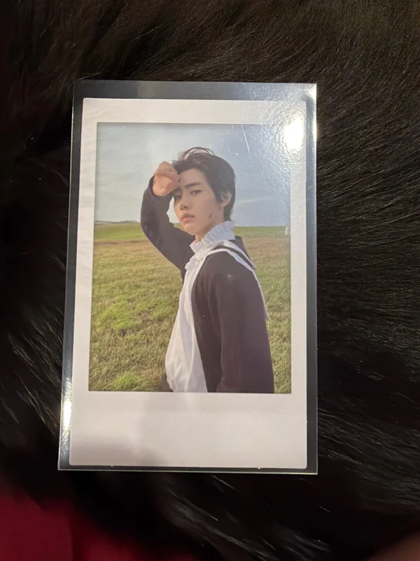 Dimension : Answer Yet Ver.