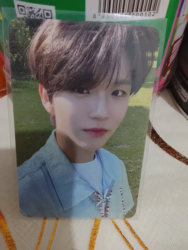 Songbird Letter Ver.