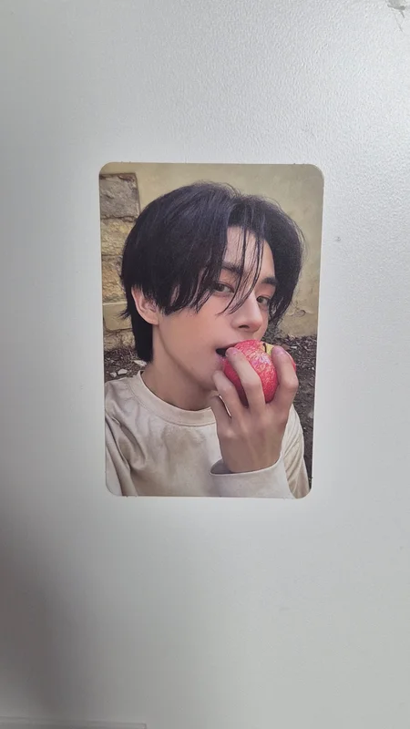 THE SIN : VANISH FUGITIVES Ver.