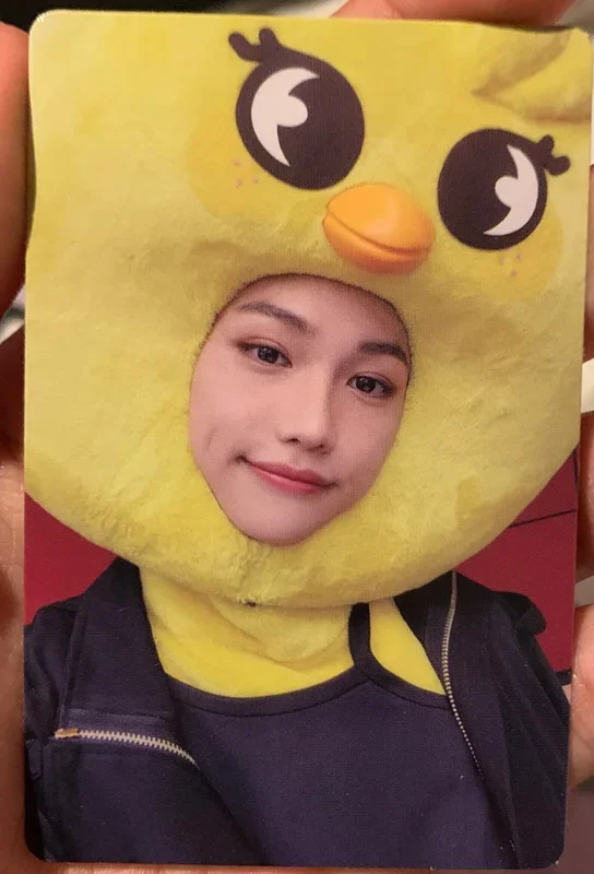 FELIX MAXIDENT JYP SHOP