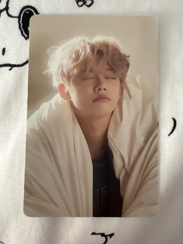 The Star Chapter: SANCTUARY Barnes & Noble Exclusive