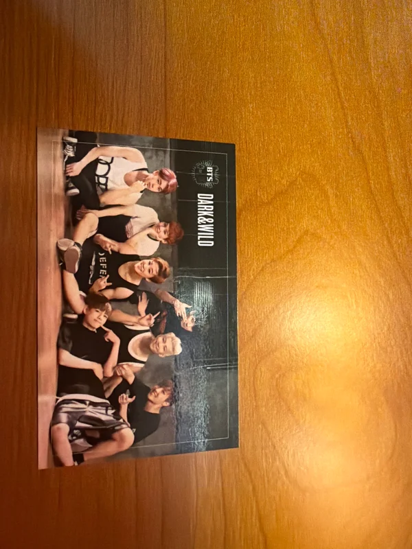 DARK&WILD