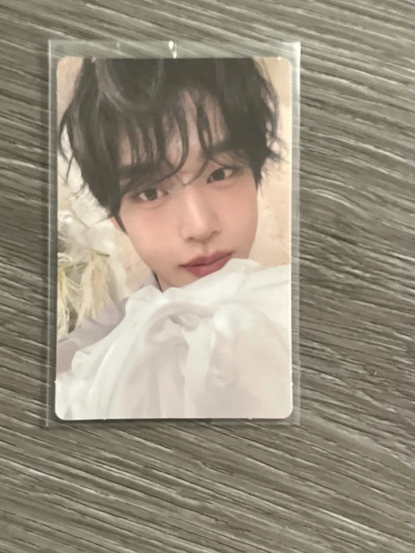 BLUE PARADISE HIDE Ver.l