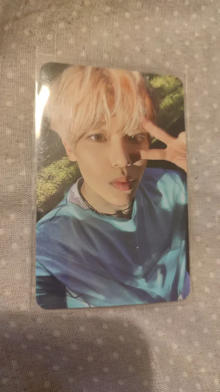 Songbird Letter Ver.