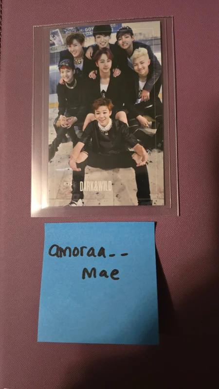 BTS DARK&WILD GROUP PC