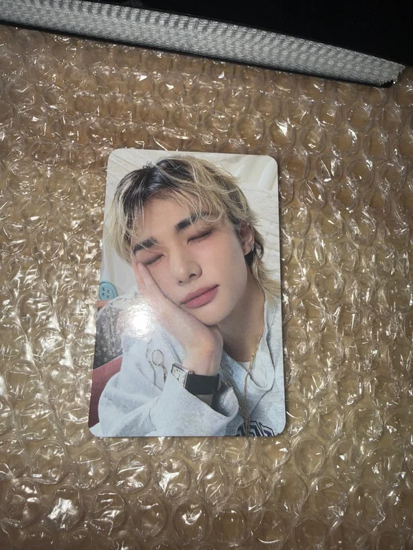 Stray Kids 6TH FANMEETING STAY in Our Little House SKZOO PLUSH COLLECT CASE