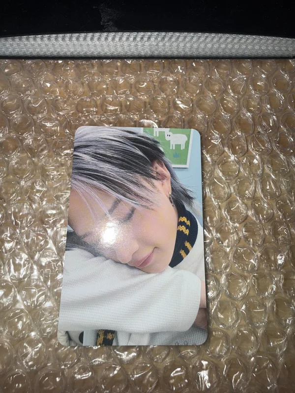 Stray Kids 6TH FANMEETING STAY in Our Little House SKZOO PLUSH COLLECT CASE