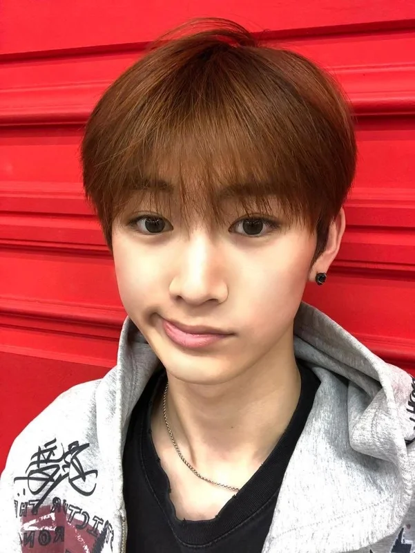 anxinlover