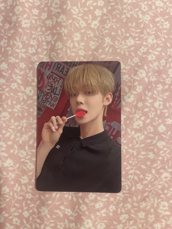 The Star Chapter: SANCTUARY LOVER Ver.