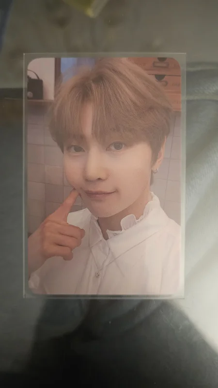 YOUTH IN THE SHADE EVERLINE