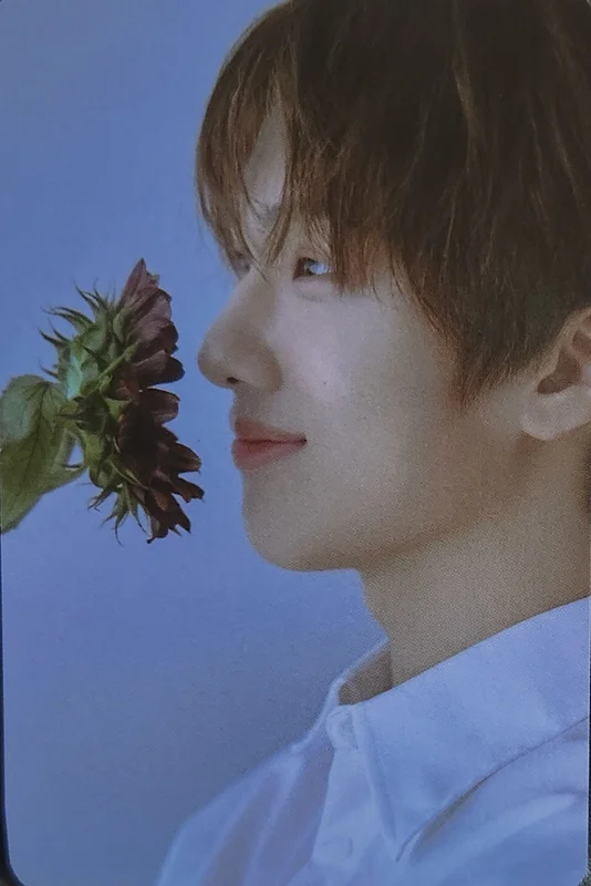 NCT DREAM JISUNG [STARRY DAYDREAM DREAM CARD PACK]