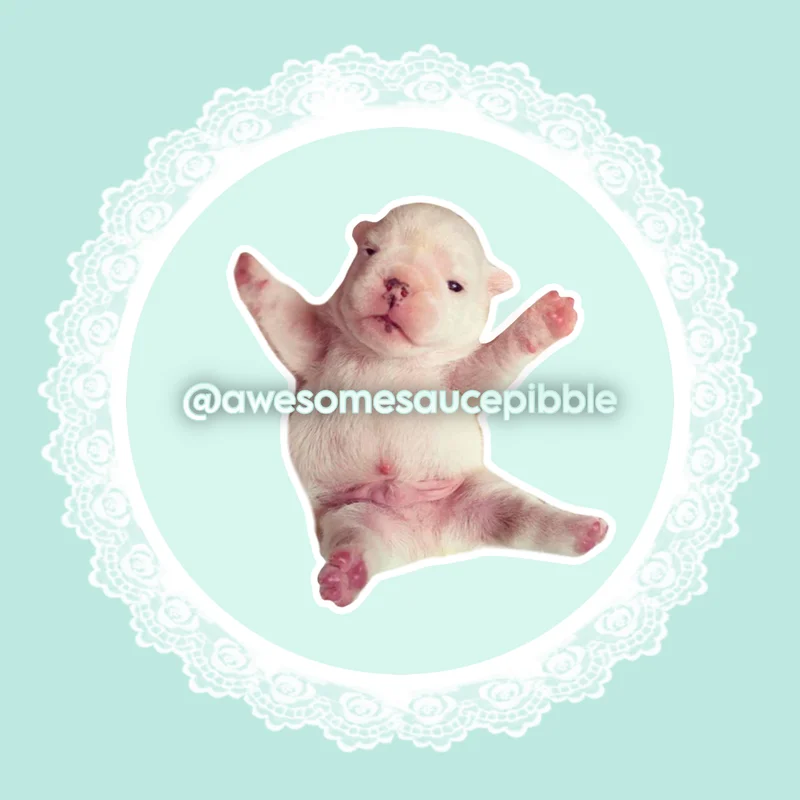 awesomesaucepib