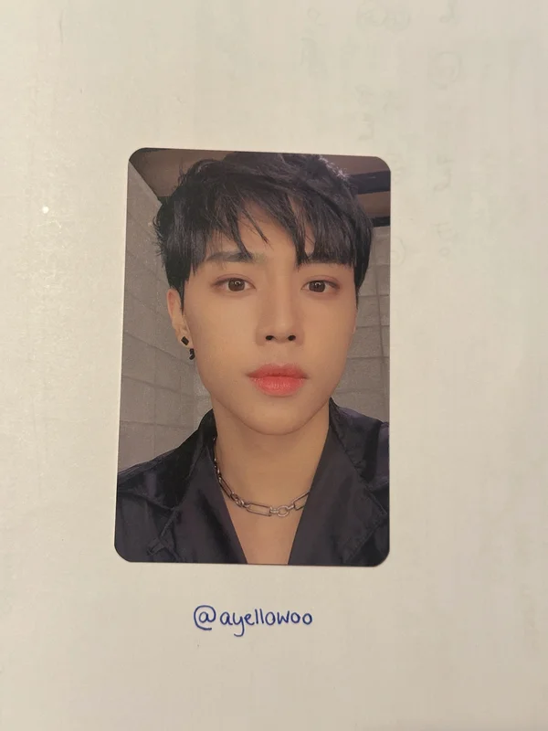 sunwoo the stealer album pc