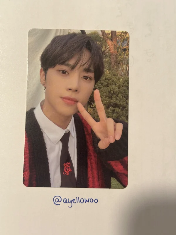 sunwoo the film festival