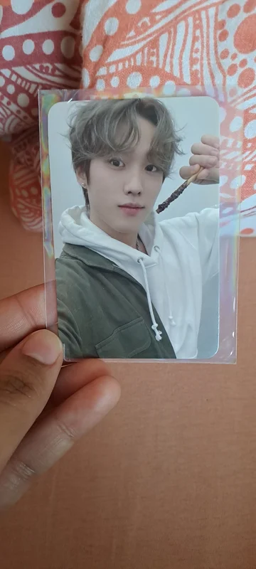 MAVERICK DEAR MY MUSE