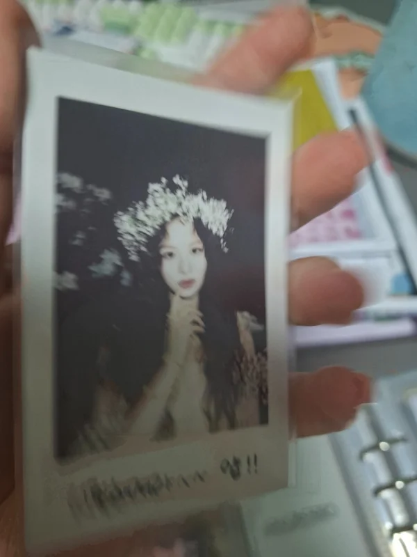 A Midsummer NMIXXs Dream Forest ver.