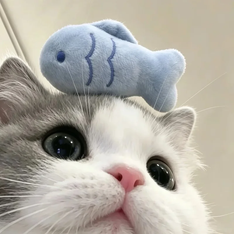 bbuu