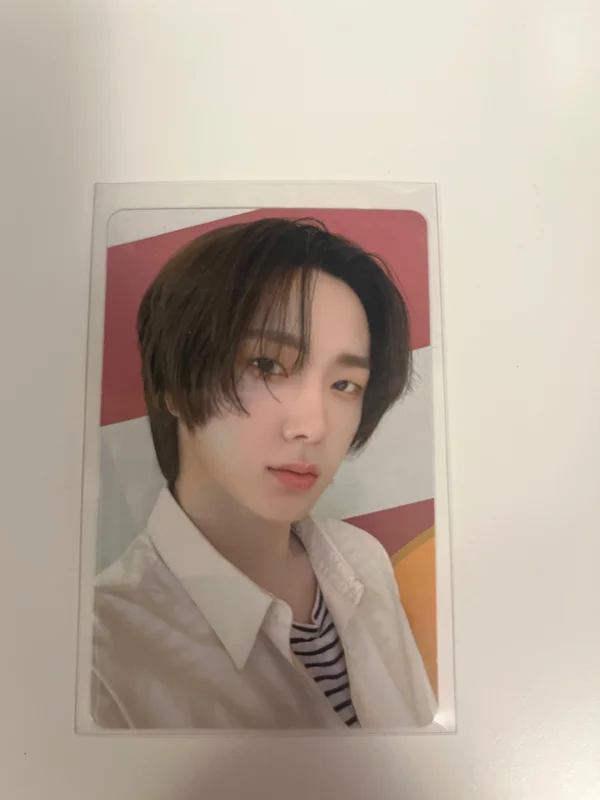 19.99 Nice ver.
