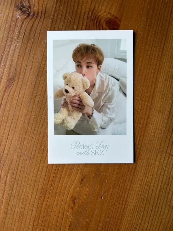 Stray Kids 2024 SEASON'S GREETINGS - Perfect Day with SKZ