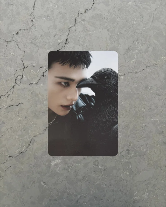 DO IT PLATFORM PLVE VER.