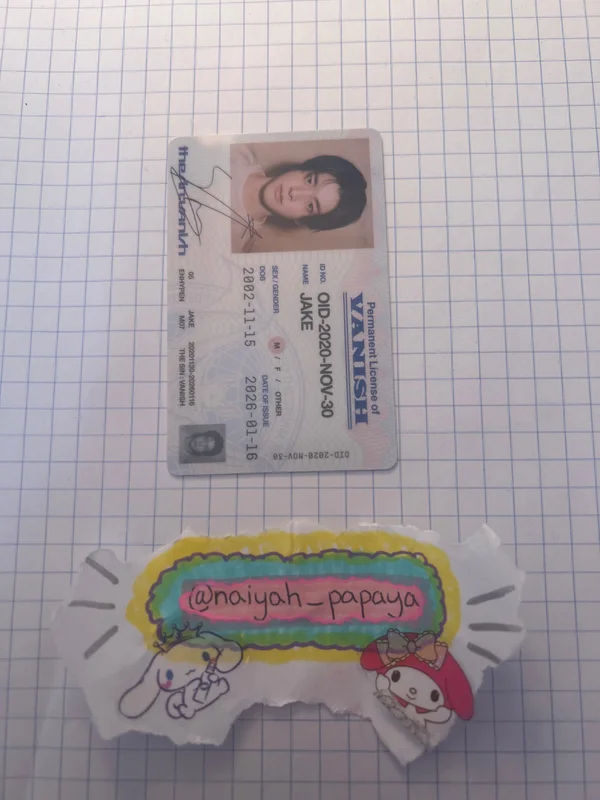 THE SIN : VANISH FUGITIVES Ver.