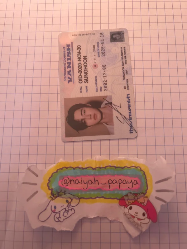 THE SIN : VANISH FUGITIVES Ver.