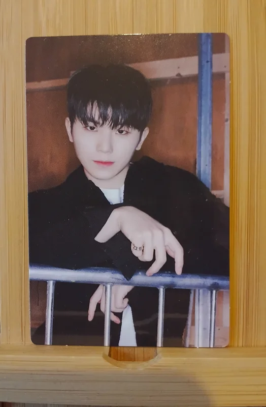 2022 SVT 6TH FAN MEETING SEVENTEEN in CARAT LAND Trading Card Set