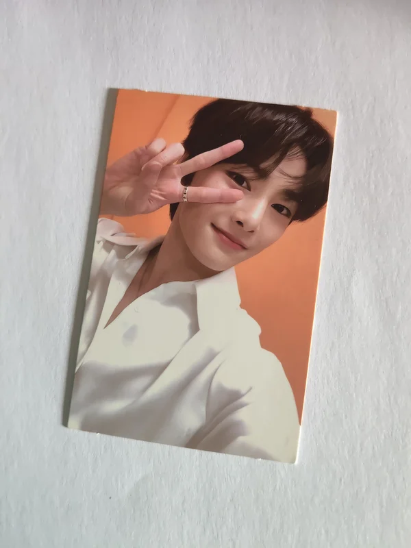 IN | GO STANDARD VER.