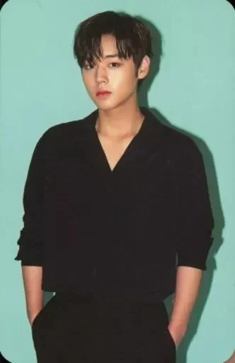 WANNA ONE POP-UP STORE CARRIER