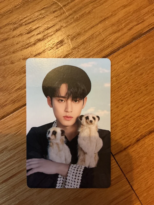 DICON D'FESTA MINI EDITION : SEVENTEEN