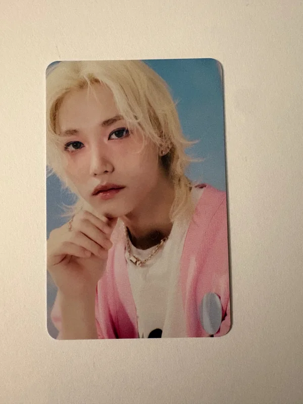 Stray Kids World Tour dominATE : celebrATE PHOTOCARD HOLDER