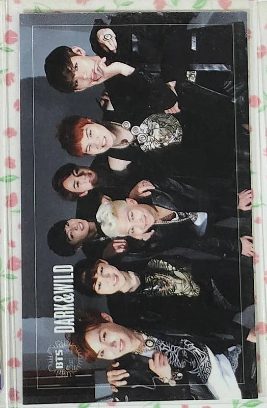 DARK&WILD