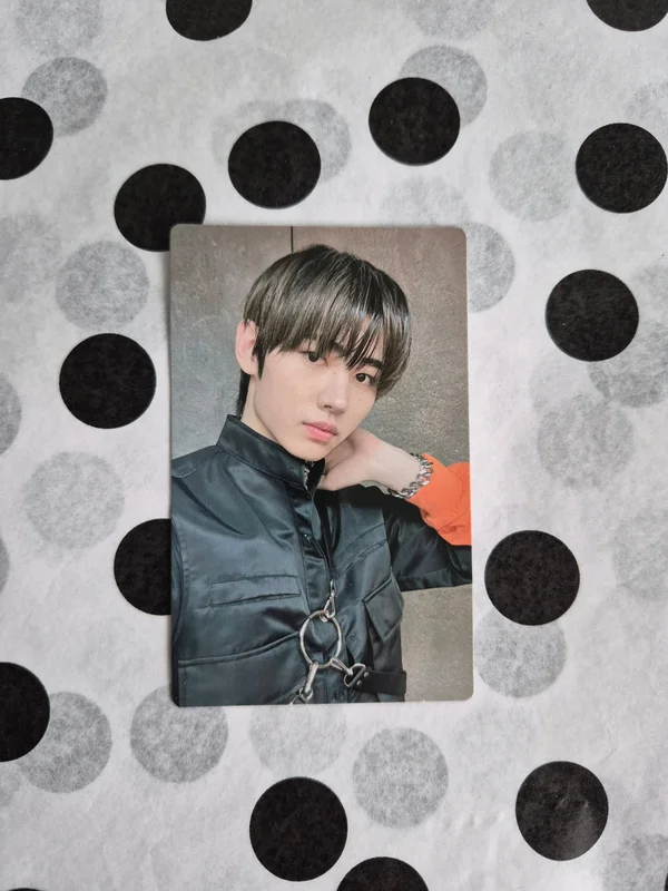 BORDER : CARNIVAL WEVERSE