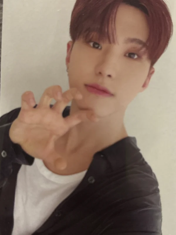 SEVENTEEN 2024 SEASON'S GREETINGS