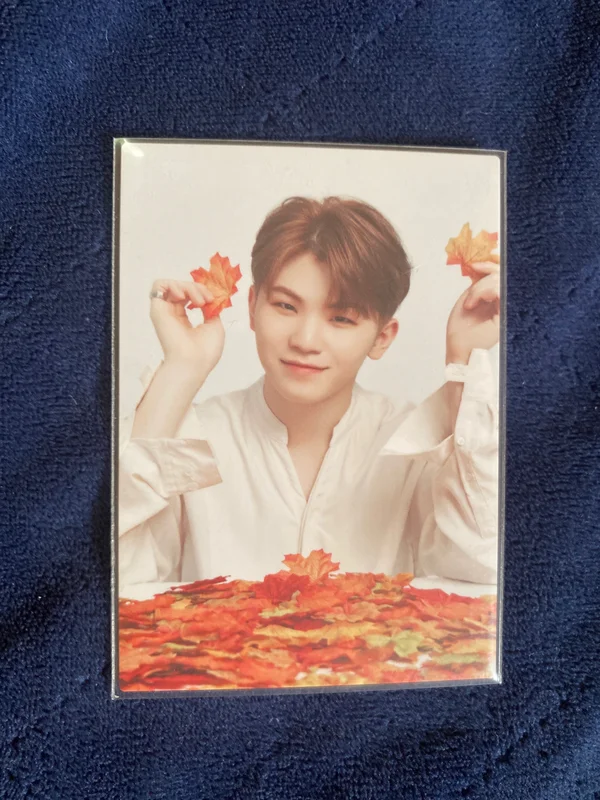 SEVENTEEN world tour Ode to you Woozi IN JAPAN TRADING CARD