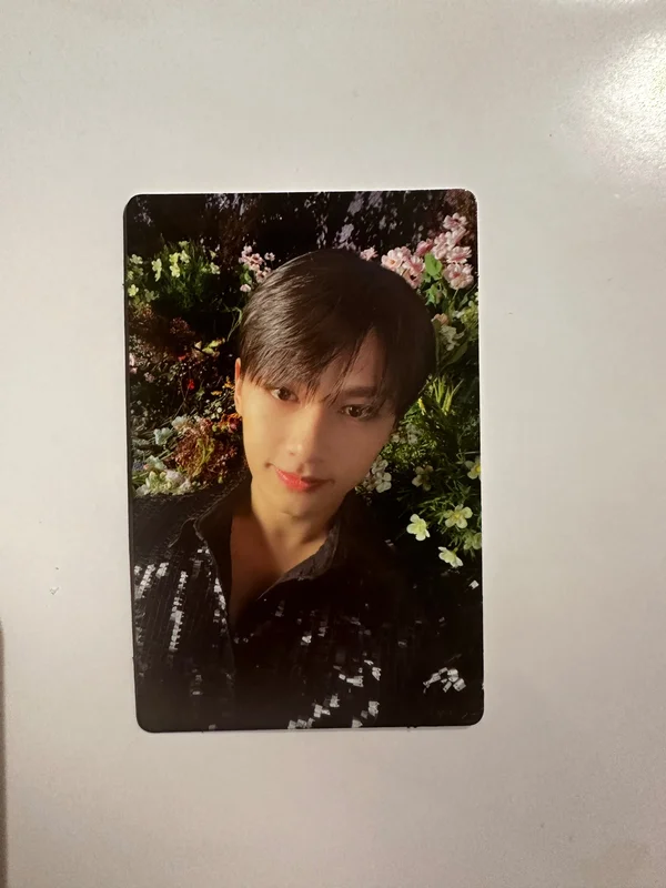 Face the Sun CARAT Ver.