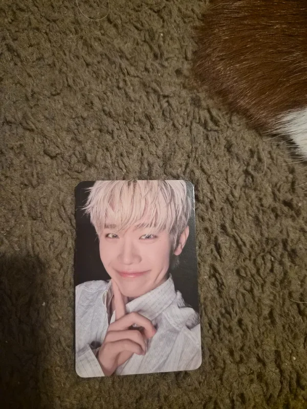 NEVER SAY NEVER PHOTOBOOK Ver. ICON Ver.