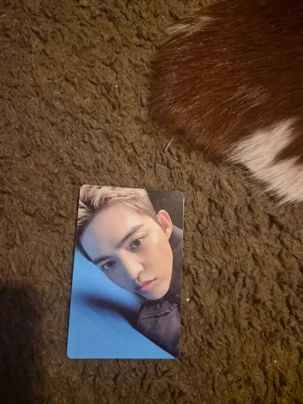 HYPE VIBES COMBI VER.