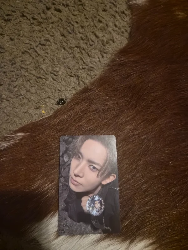 THE SIN : VANISH FORBIDDEN Ver.