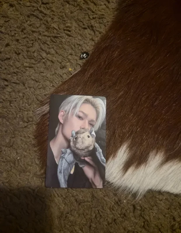 THE SIN : VANISH FORBIDDEN Ver.