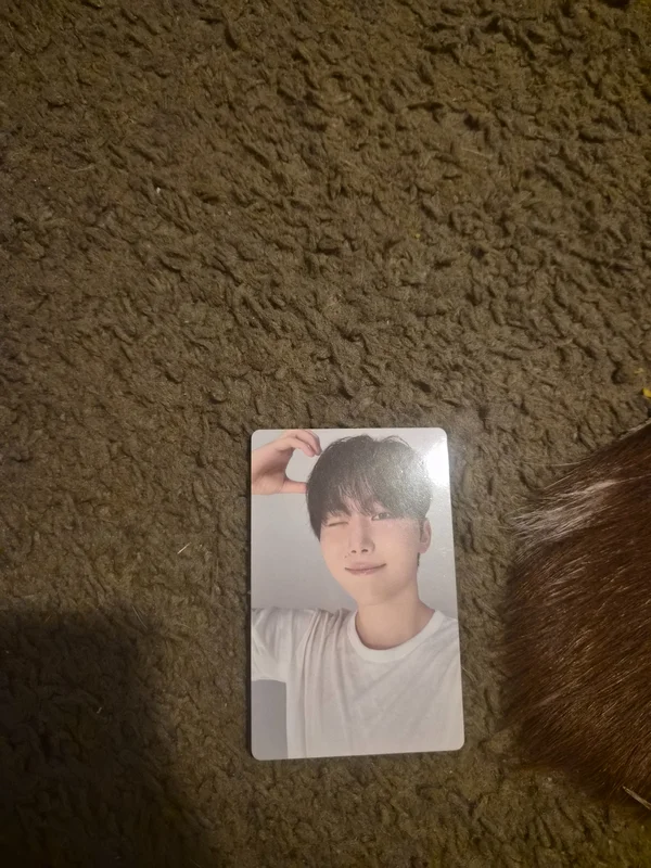 Serenade COMPACT Ver.