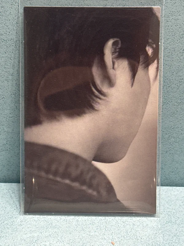 Indigo (Book Edition)