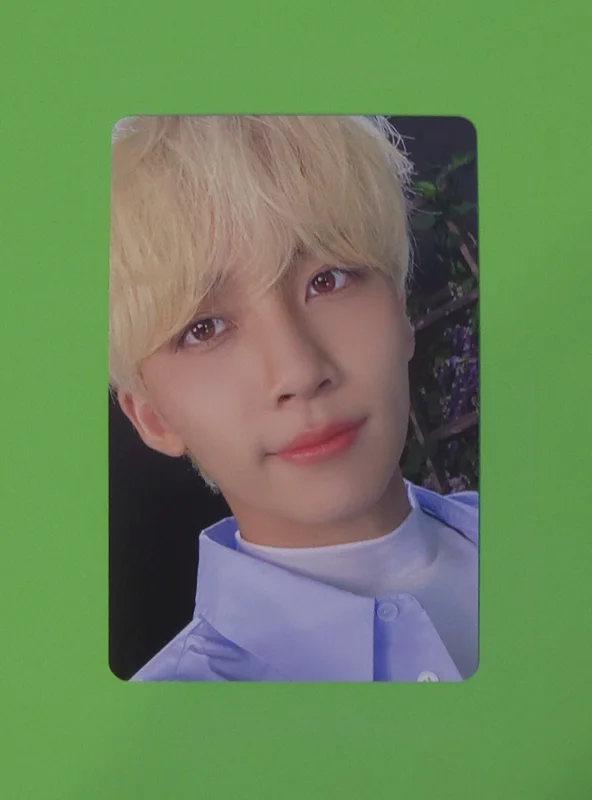 DICON D'FESTA MINI EDITION : SEVENTEEN