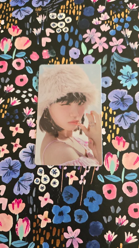 ANTIFRAGILE COMPACT Ver. WEVERSE