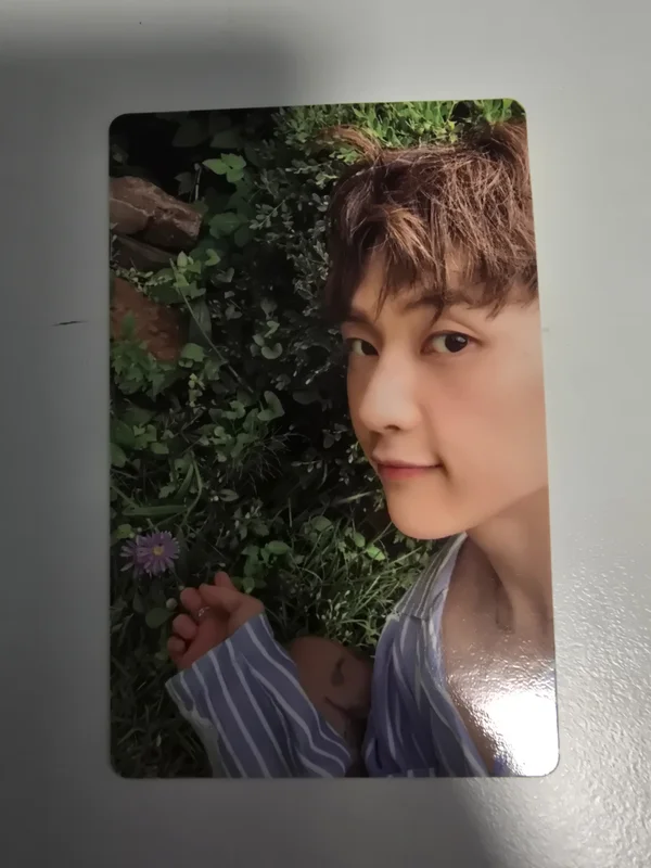 CINEMA PARADISE ZEROSE ver.