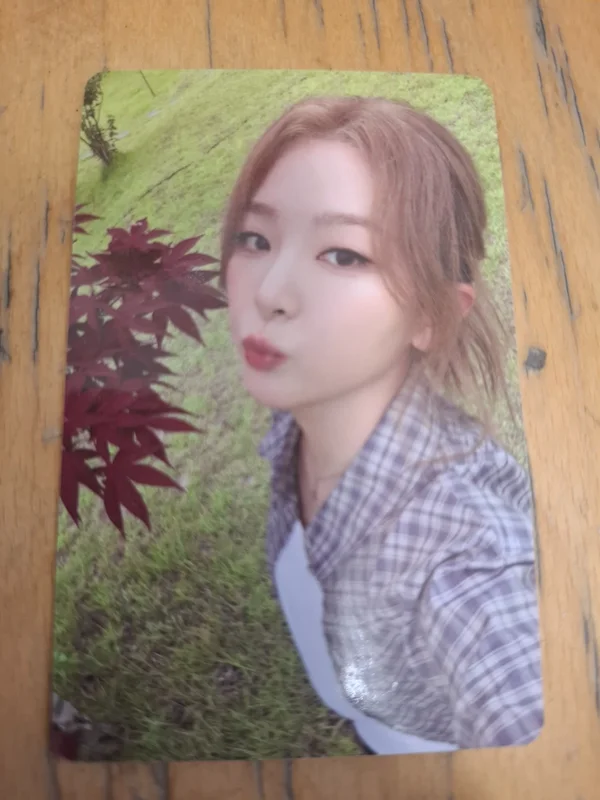 Red Velvet FAN-CON [A Day in Red & Velvet] RANDOM TRADING CARD