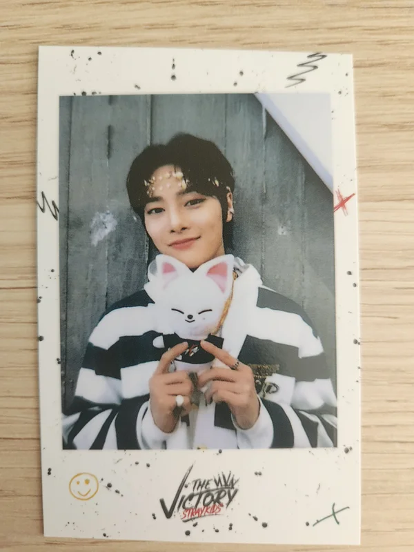 Stray kids skzoo pop up the victory